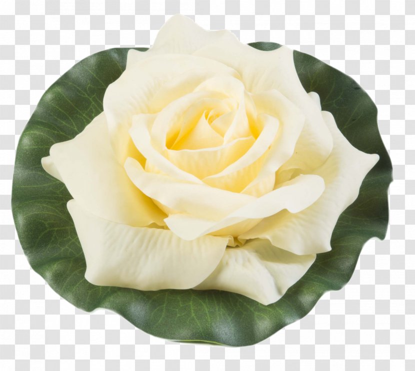 Centifolia Roses Organization Garden Customer Service - Rose Order - Water Lilies Transparent PNG