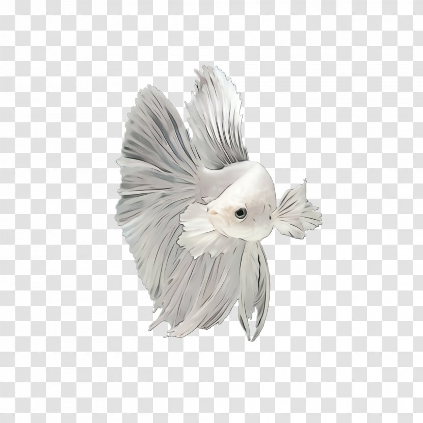 Feather - Angel - Fictional Character Transparent PNG