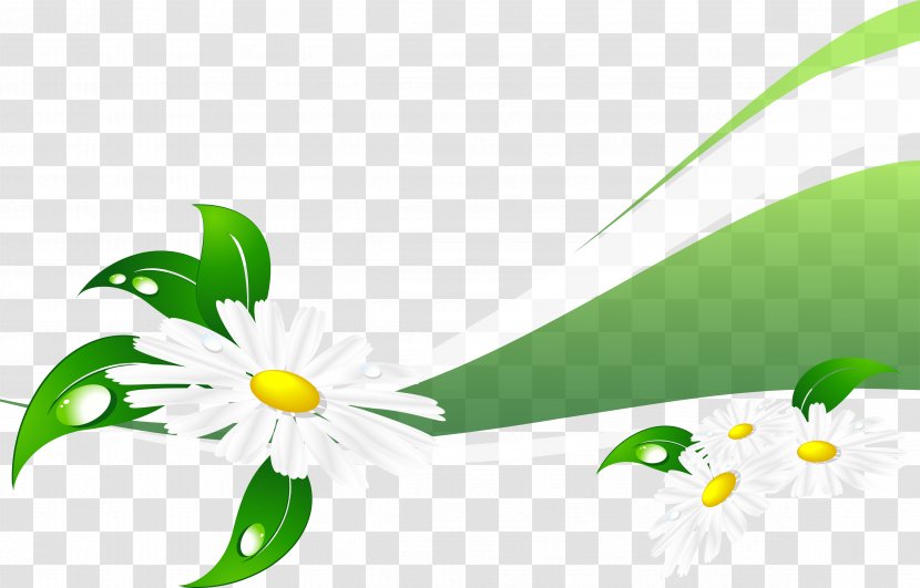 Matricaria Digital Image Information Clip Art - Green - Chamomile Transparent PNG