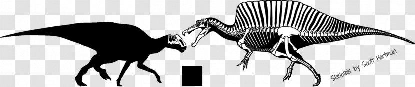 Skeleton Dinosaur Fossil Joint Skull Art - Silhouette Transparent PNG