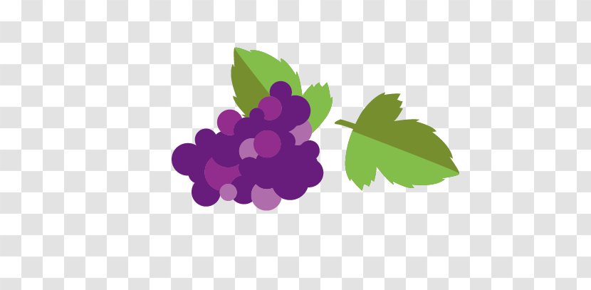 Grapevines Euclidean Vector Vecteur - Raisin - Grape Transparent PNG