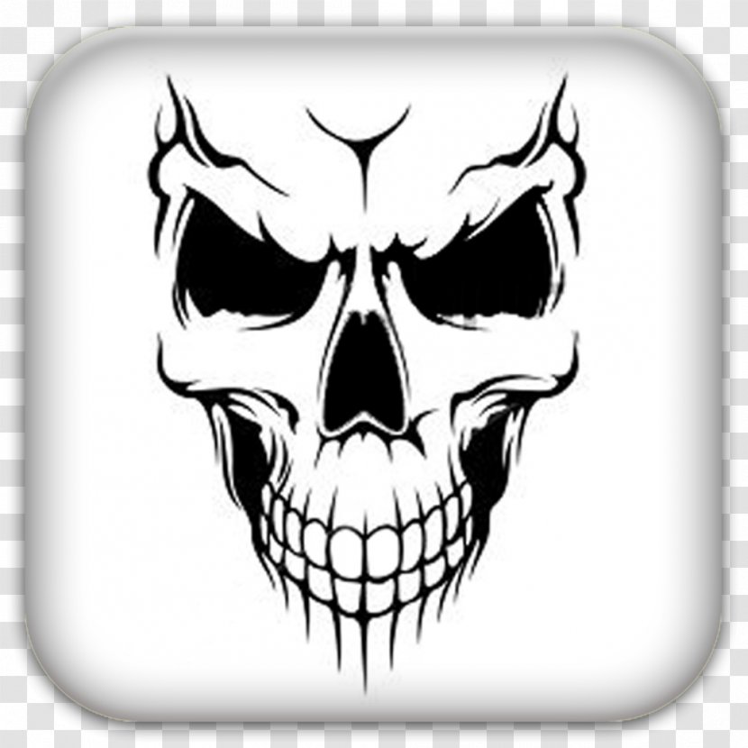 Skull - Head - Headgear Transparent PNG