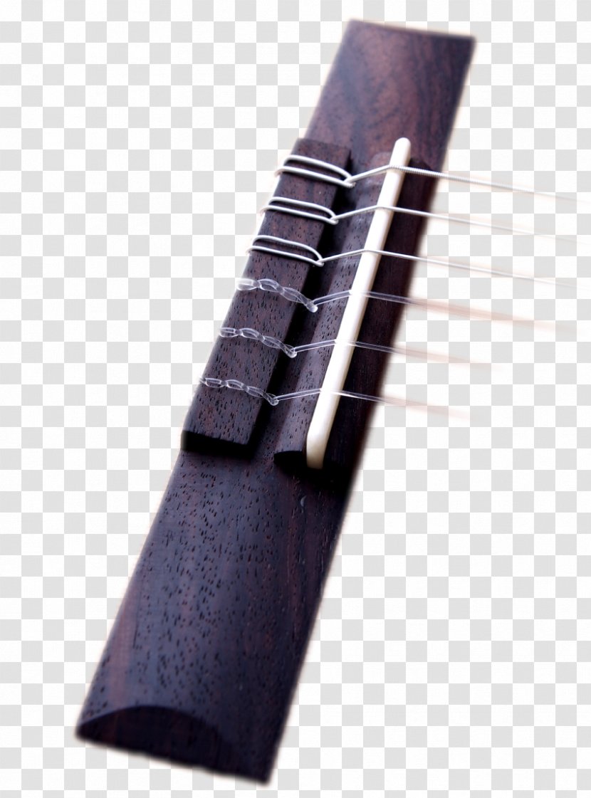 Guitar - Plucked String Instruments - Accessory Transparent PNG
