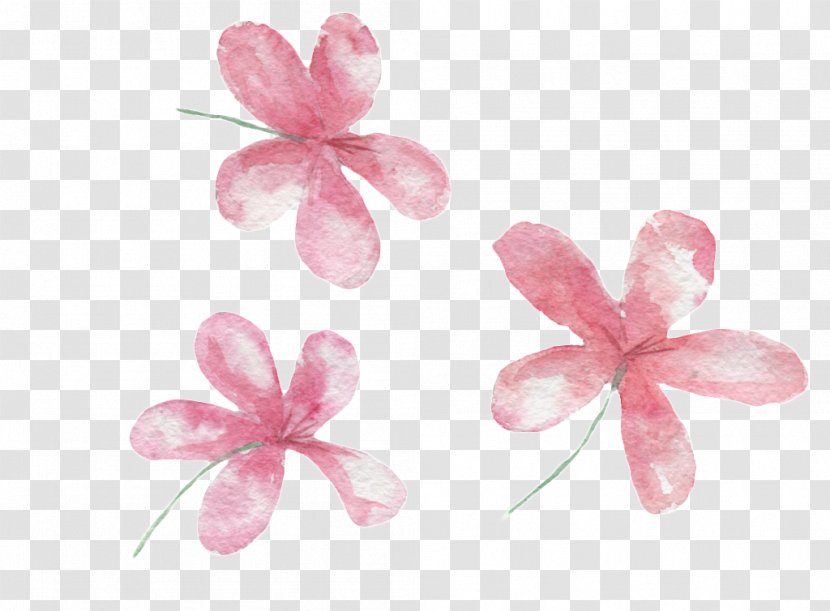 Flower Petal Image - Hand Painted Bubbles Transparent PNG