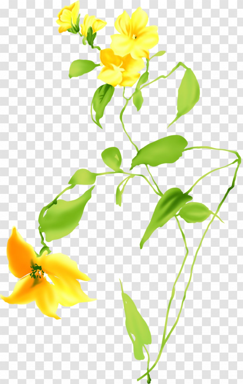 Cut Flowers Yellow Plant Clip Art - Flower Transparent PNG