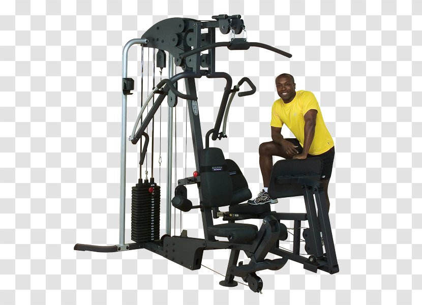 Fitness Centre Human Body Exercise Equipment Arm - Gym Transparent PNG