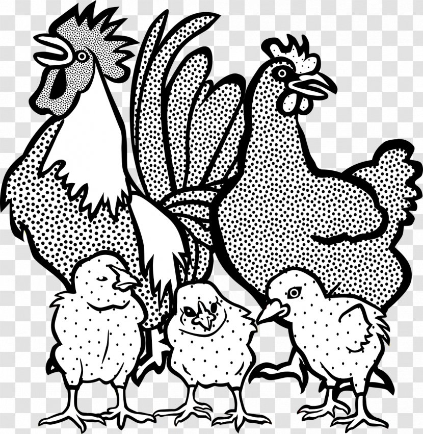 Chicken Rooster Line Art Clip - Hen - Chick Transparent PNG
