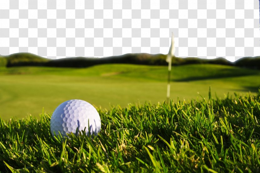 Golf Display Resolution High-definition Television Wallpaper - A Transparent PNG