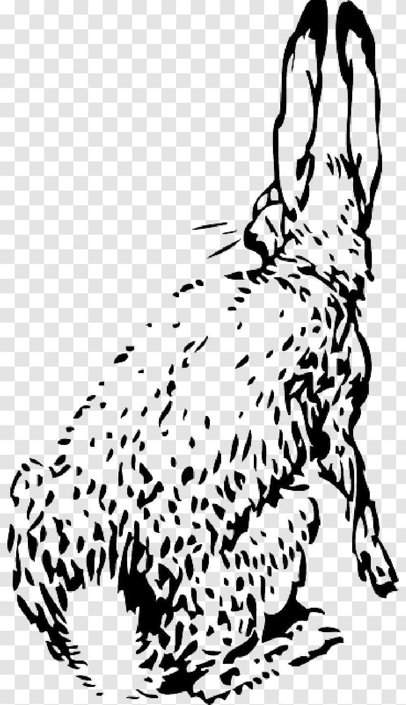 Rabbit Vector Graphics Clip Art Hare - Carnivore - Bunny Ears Transparent PNG
