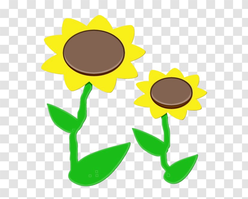 Sunflower - Flower - Plant Stem Transparent PNG