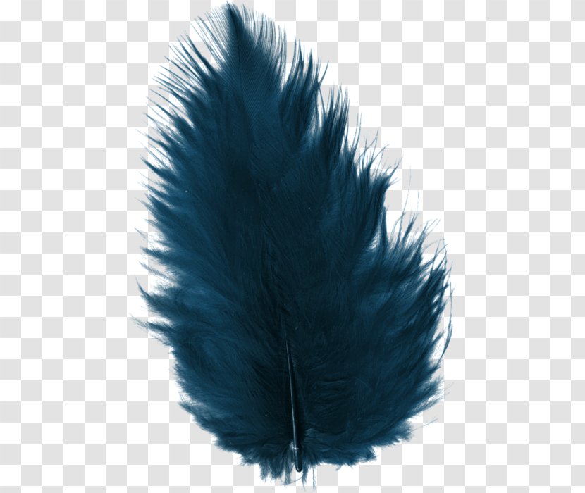 Feather Euclidean Vector Blue - Decoration Transparent PNG