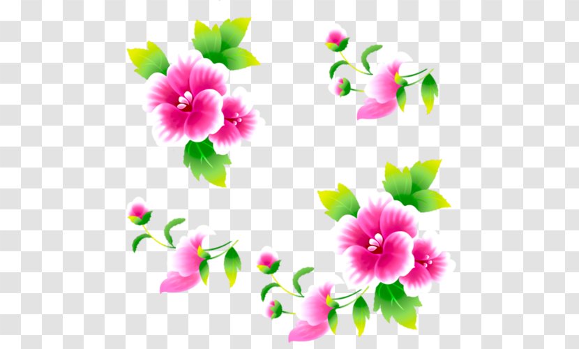 Rosemallows Islam YouTube Dailymotion Flower - Night Transparent PNG