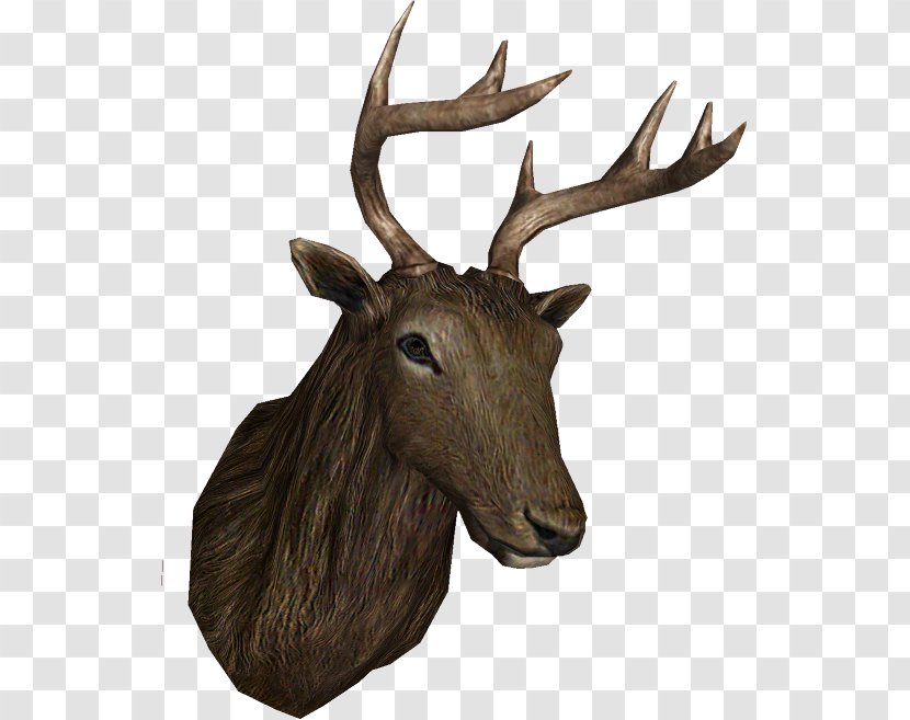 Elk Reindeer Antler Trophy Hunting Transparent PNG