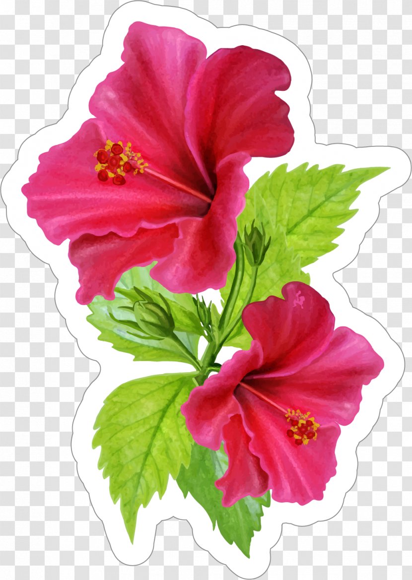 Sticker Vector Graphics Flower Decal - Flowering Plant - Flowers Cartoon Hibiscus Transparent PNG
