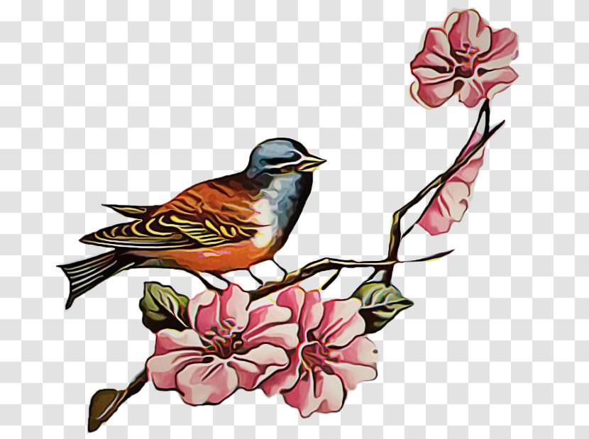 Drawing Of Family - Blossom - Robin Magnolia Transparent PNG