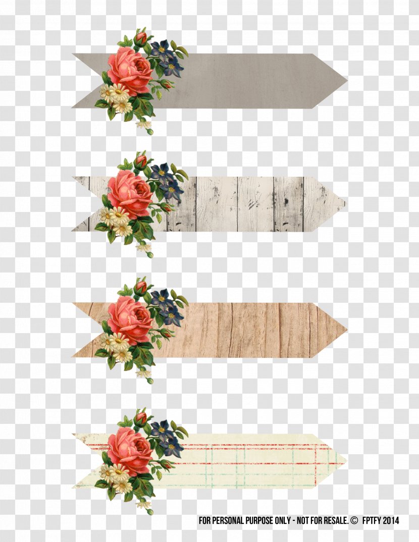 Cut Flowers Floral Design Floristry - Petal - Mint Transparent PNG