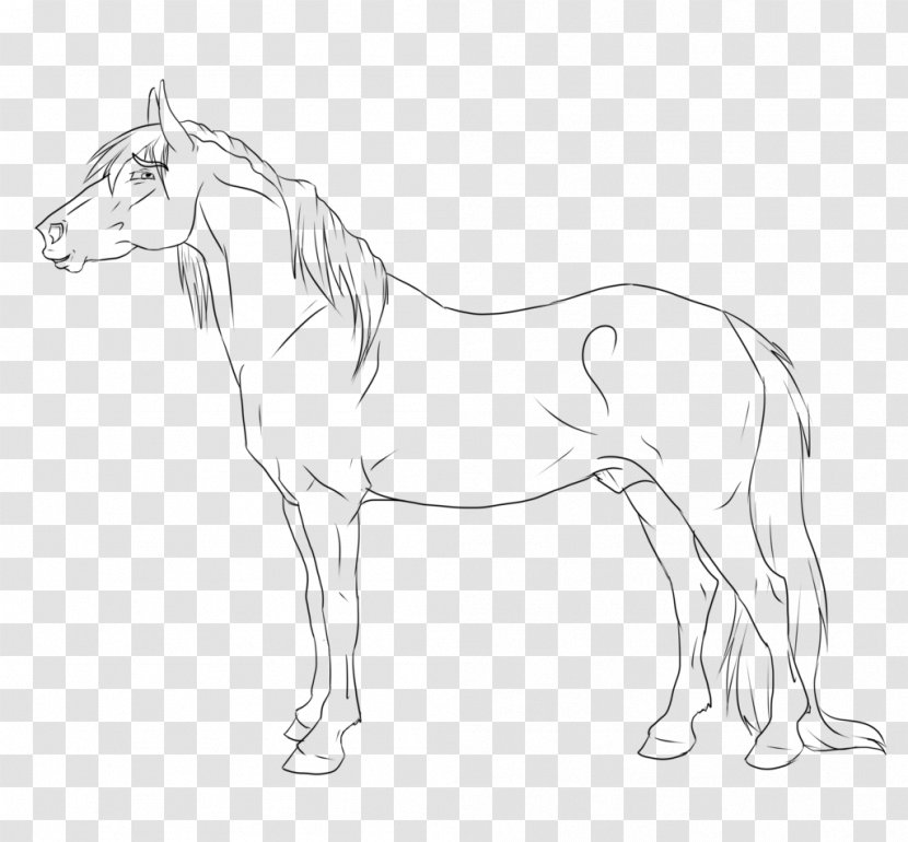 Mule Stallion Line Art American Paint Horse Gypsy - Colt - Based Drawing Transparent PNG