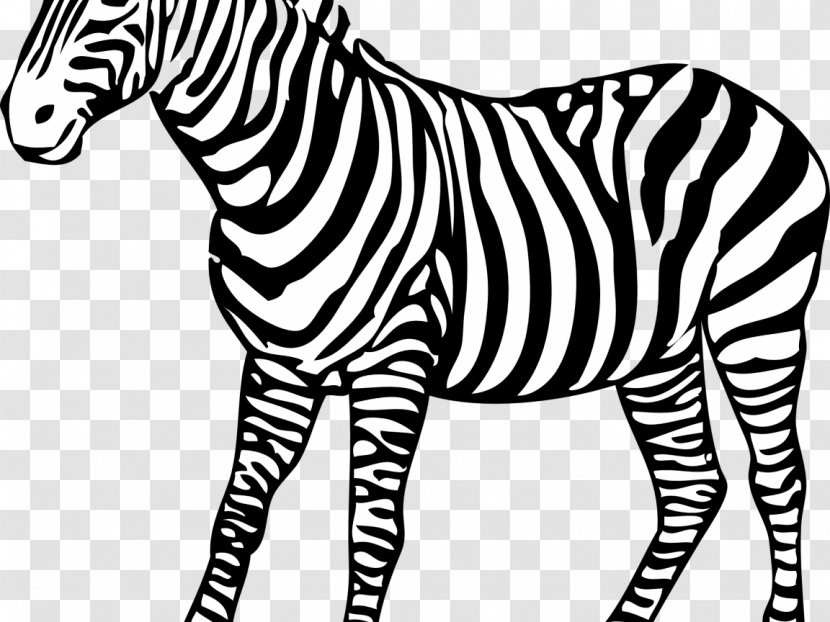 Zebra Horse Black And White Clip Art - Mammal Transparent PNG