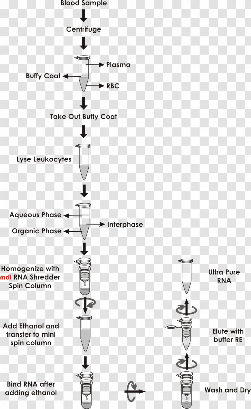 Plasmid Preparation Spin Column-based Nucleic Acid Purification RNA - Buffy Coat - Methods Transparent PNG