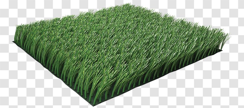 Artificial Turf Landscape Architecture Garden Poly-Turf - Arvores Transparent PNG