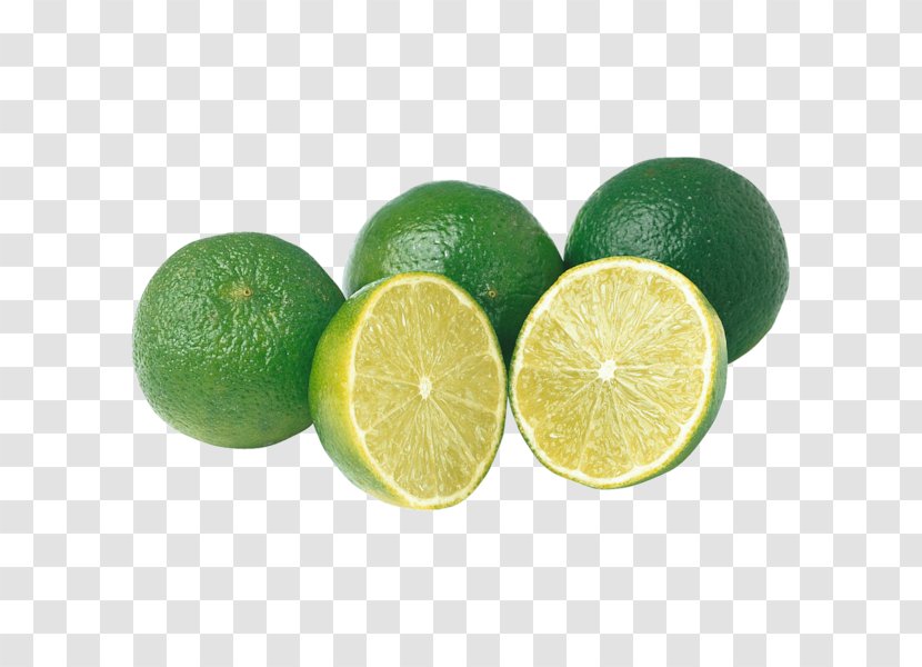 Key Lime Sweet Lemon Persian - Margarita Transparent PNG