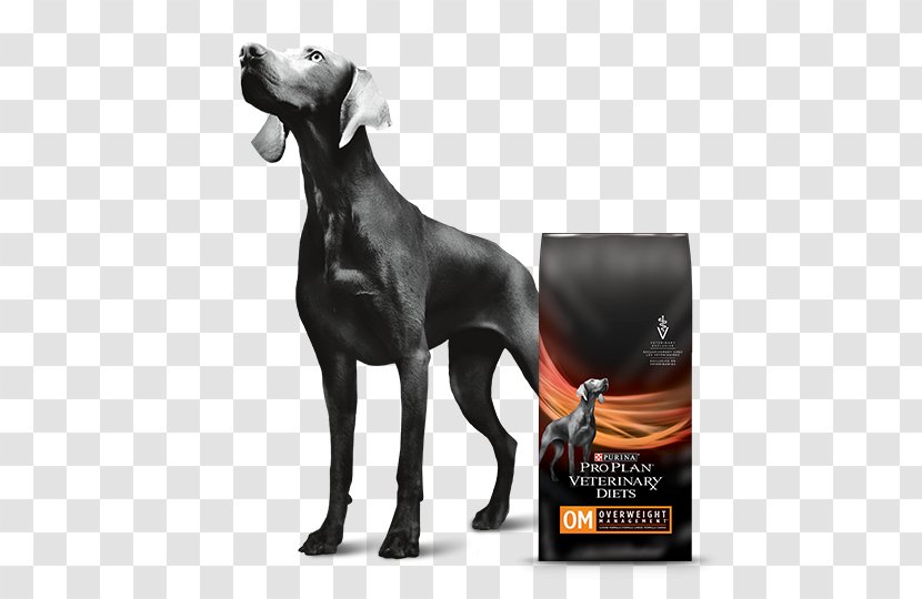 Weimaraner Nestlé Purina PetCare Company Dog Food Breed Veterinarian - Diet - Health Transparent PNG