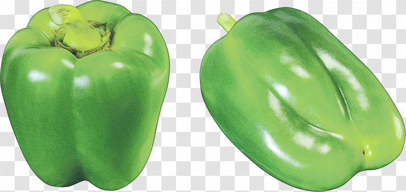 Bell Pepper Pimiento Green Peppers And Chili - Watercolor - Plant Transparent PNG