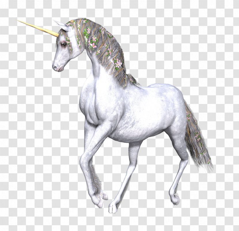 Unicorn Horse Deko Betz - Drawing - Die Nachfolger Legendary Creature DrawingUnicornio Transparent PNG