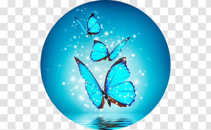 Butterfly Desktop Wallpaper High-definition Television Insect 1080p - Azure - Boxing Day Sale Transparent PNG