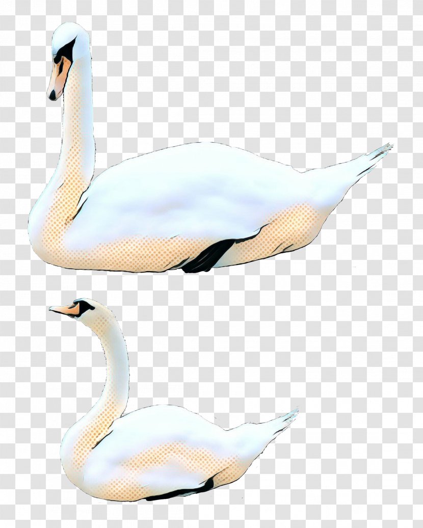 Vintage Background - Wildlife - Tundra Swan Transparent PNG