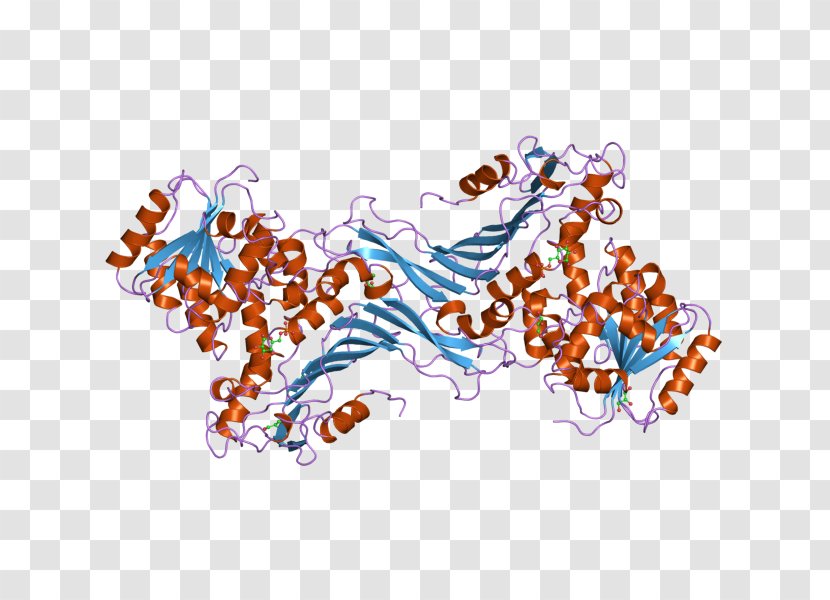 Glucose-6-phosphate Dehydrogenase Glucose 6-phosphate Enzyme Neuraminidase - Tree - Frame Transparent PNG