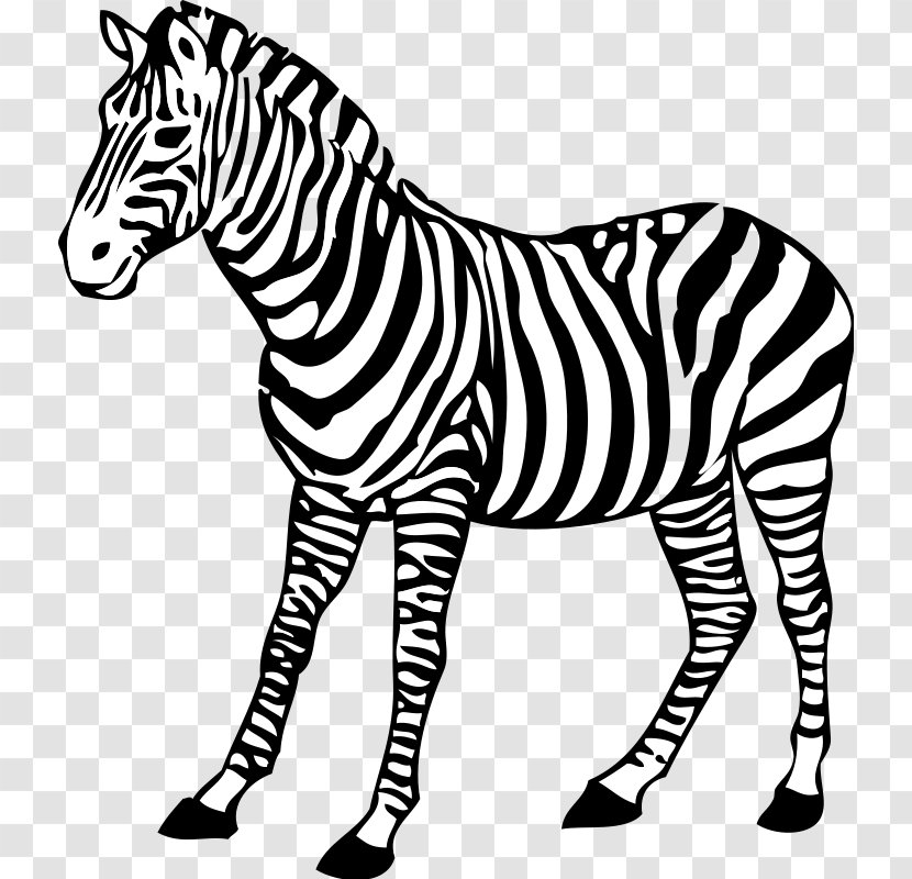 Zebra Black And White Clip Art - Animal Figure - Animals Cliparts Transparent PNG