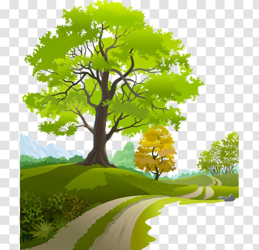 Tree Branch Clip Art - Leaf - Trees And Green Grass Transparent PNG