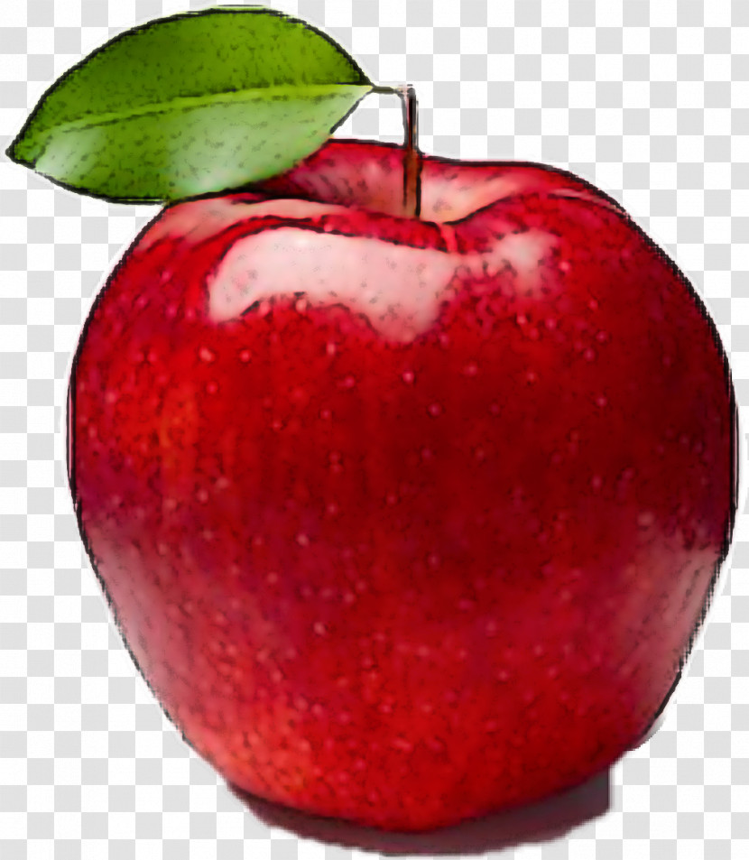 Apple Fruit Natural Foods Red Plant Transparent PNG