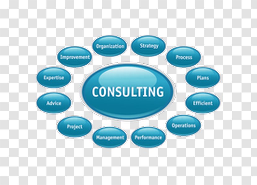 Consultant Management Consulting Business Plan - Logo Transparent PNG