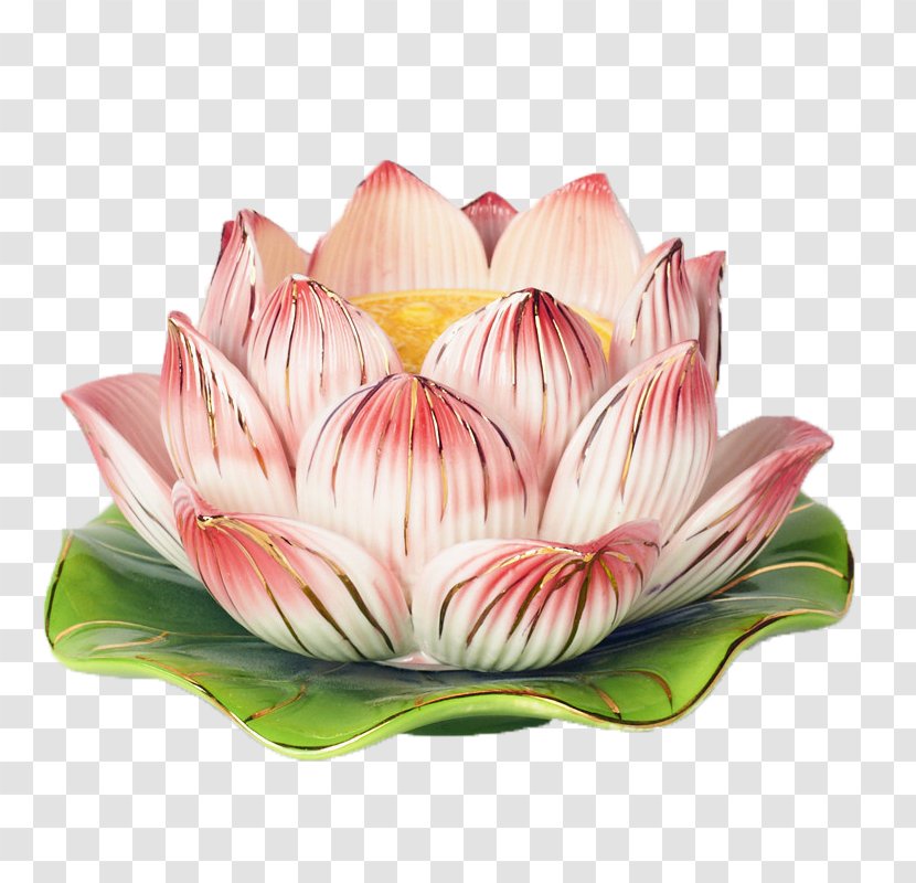 Floral Design Clip Art - Cut Flowers - Lotus Base Gilt Edge Transparent PNG