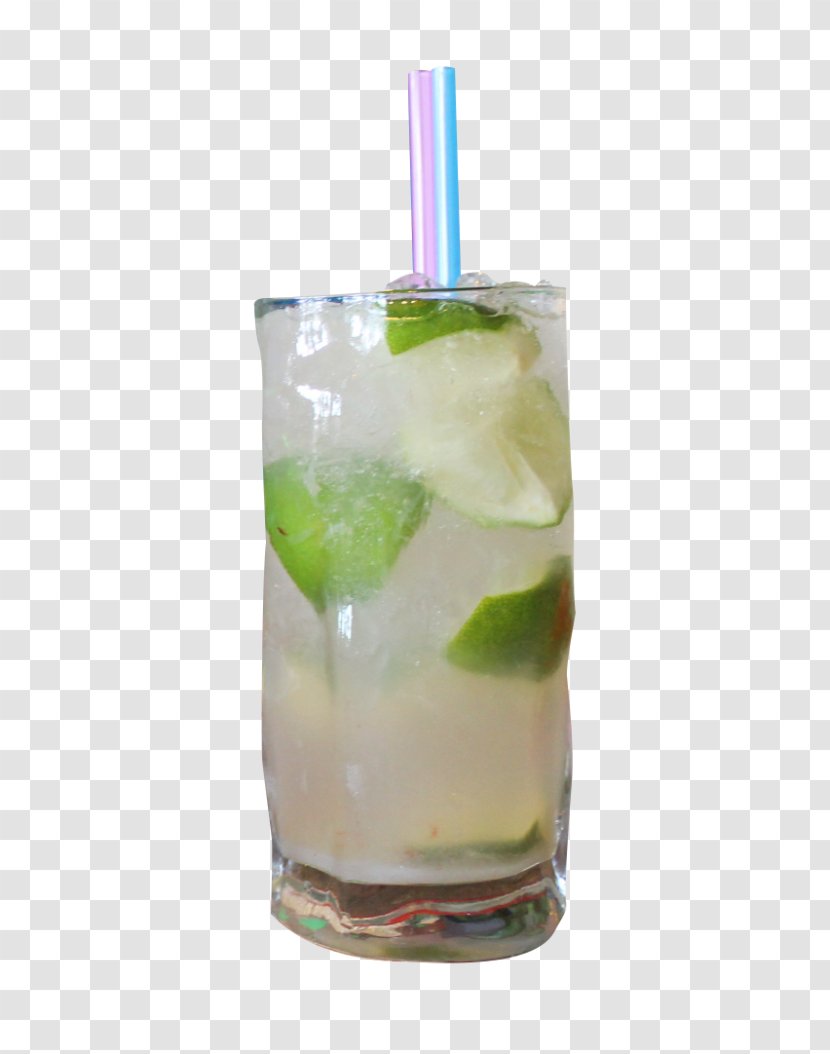 Caipirinha Mojito Caipiroska Gin And Tonic Sea Breeze - Cocktail Garnish Transparent PNG