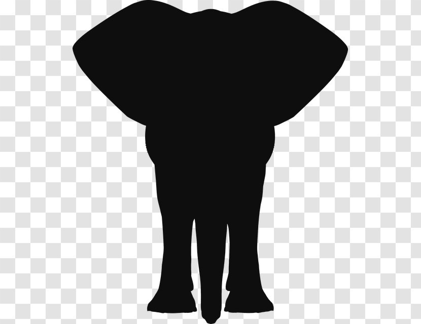 African Elephant Clip Art Vector Graphics Elephants Indian - Standing Transparent PNG