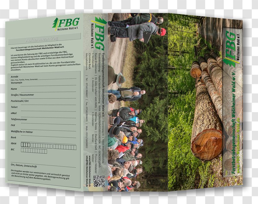 Forstbetriebsgemeinschaft Welzheimer Wald W.V. Text Flyer Tree Holzmarkt Pampa - Weather - Apps Transparent PNG