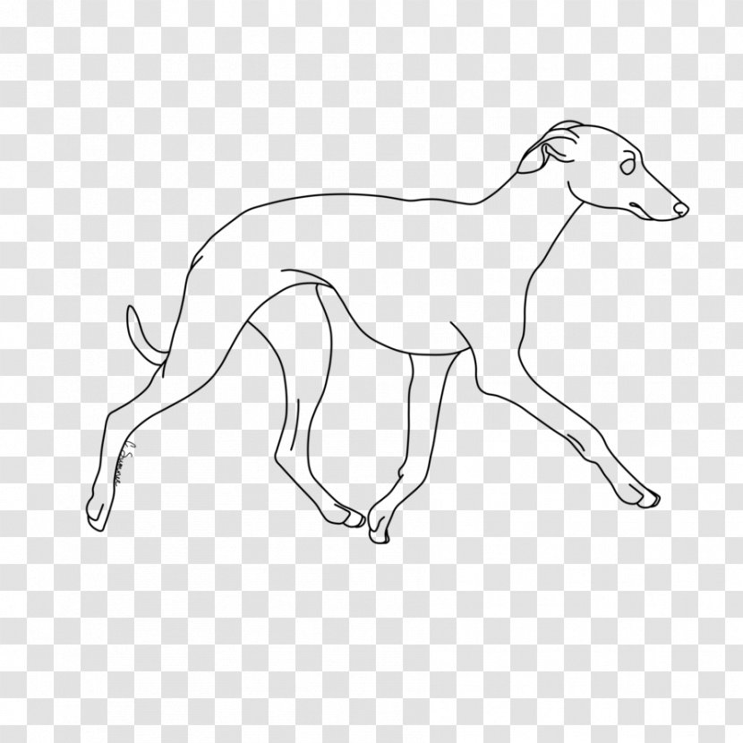 Whippet Italian Greyhound Line Art Dog Breed - Border Collie Husky Mix Transparent PNG