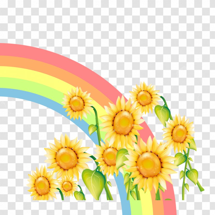 Download - Gerbera - Rainbow Transparent PNG