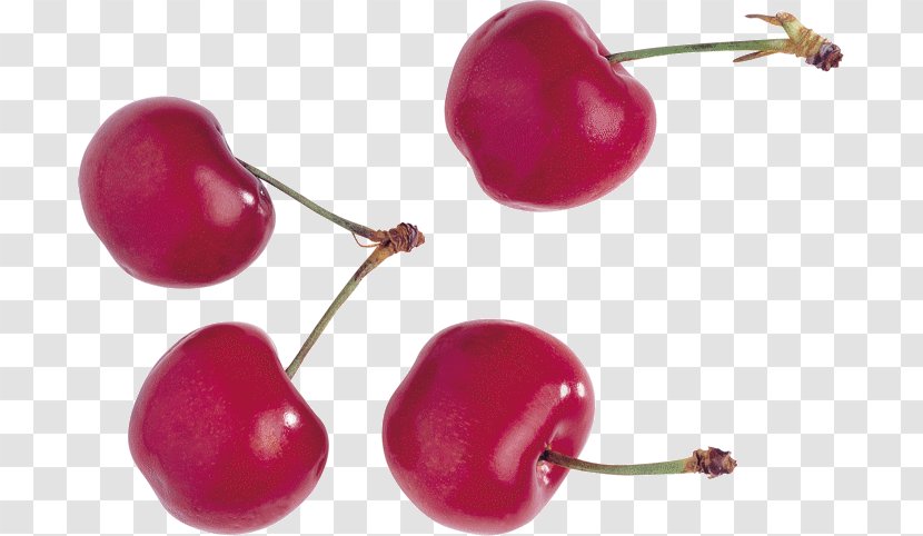 Cherries Cerasus Clip Art JPEG - Cherry - Berry Transparent PNG