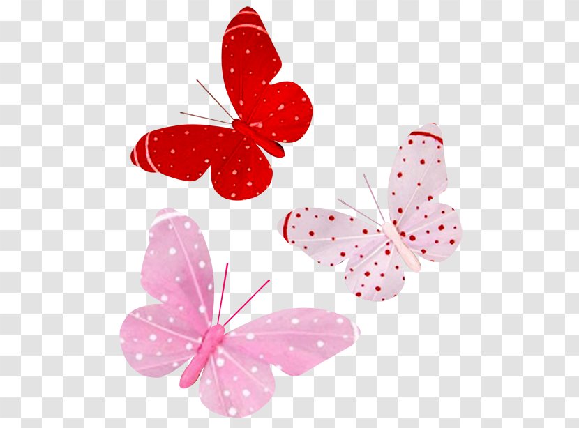Butterfly Insect Drawing Blog Clip Art Transparent PNG