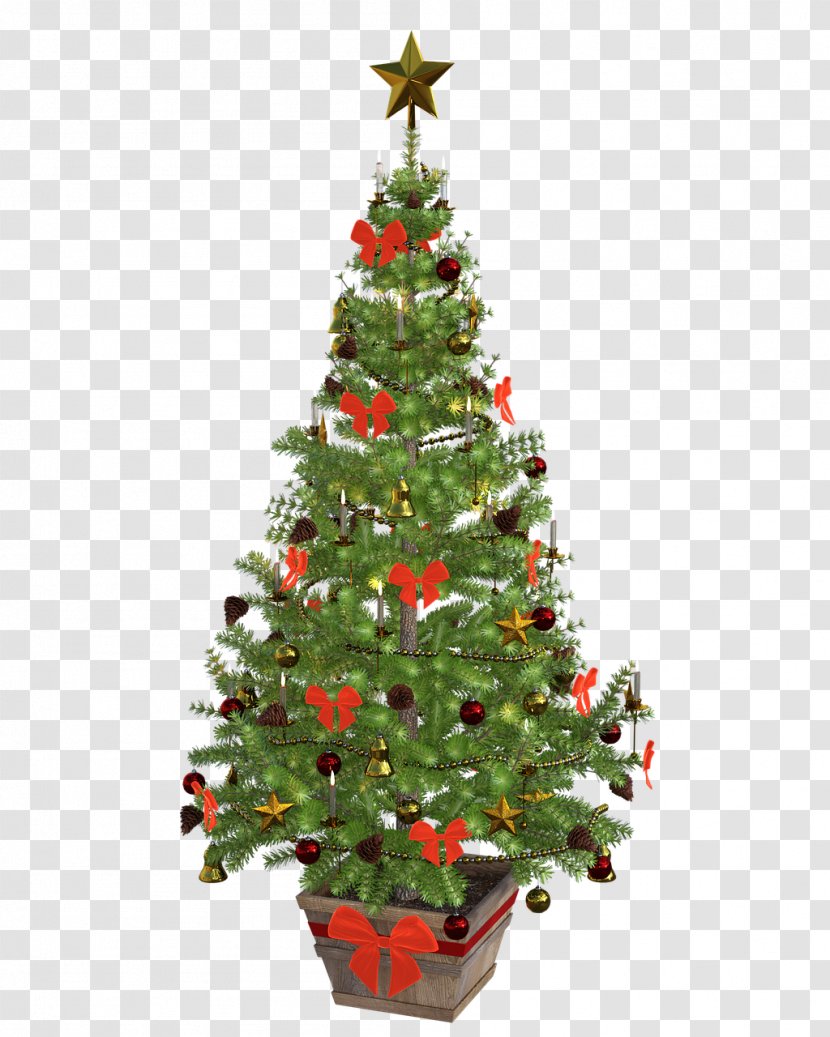 Santa Claus Christmas Tree Ornament - Evergreen - Fir-tree Transparent PNG