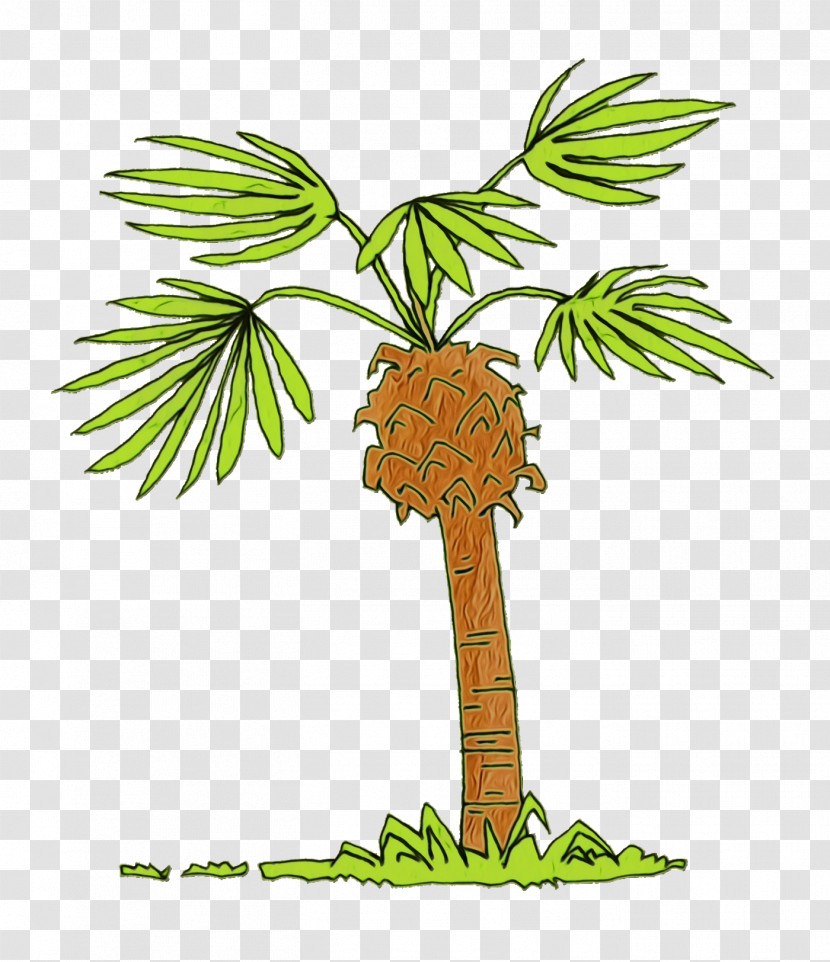 Palm Trees Transparent PNG