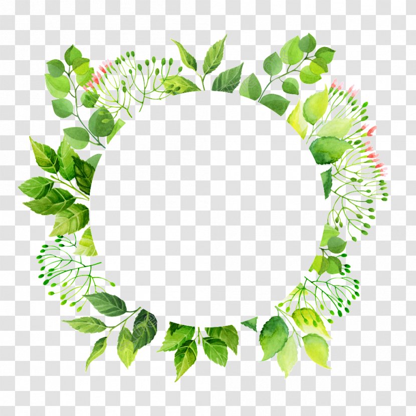 Image Transparency Green Vector Graphics - Flower - 30 Transparent PNG