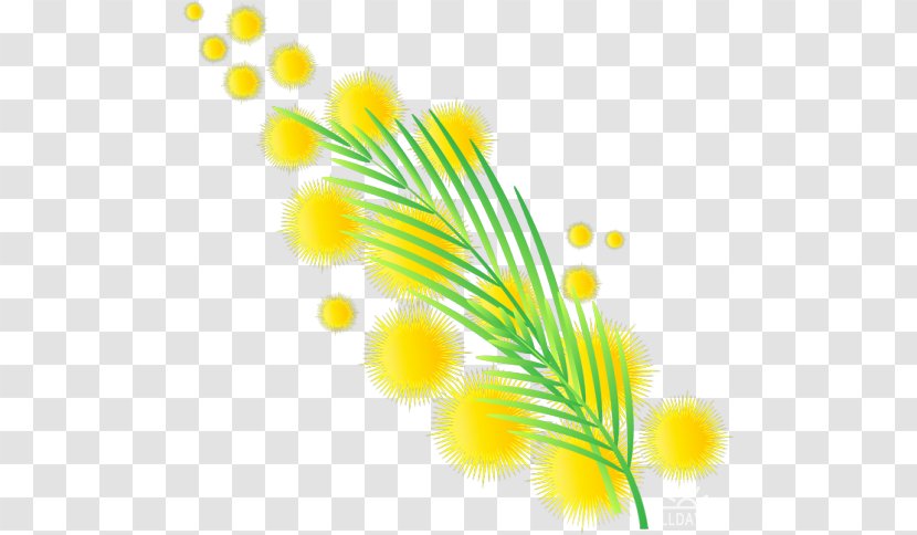 Leaf Desktop Wallpaper Grasses Plant Stem Flower Transparent PNG