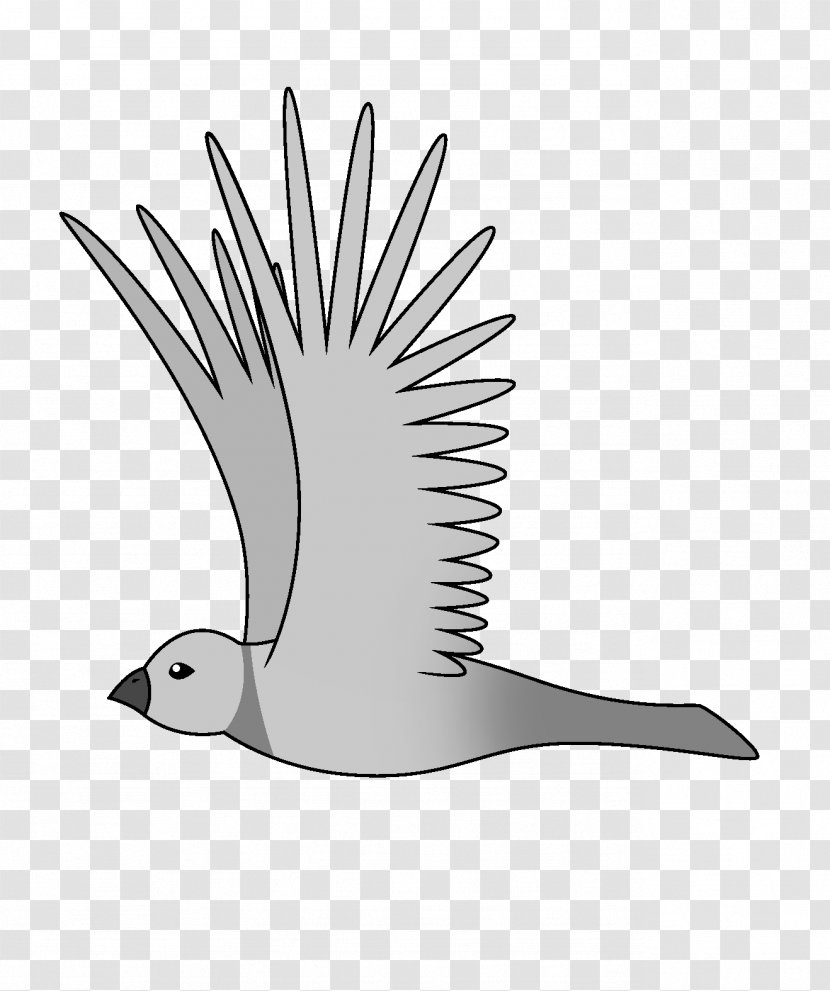 Clip Art GIF Image Bird - Beak Transparent PNG