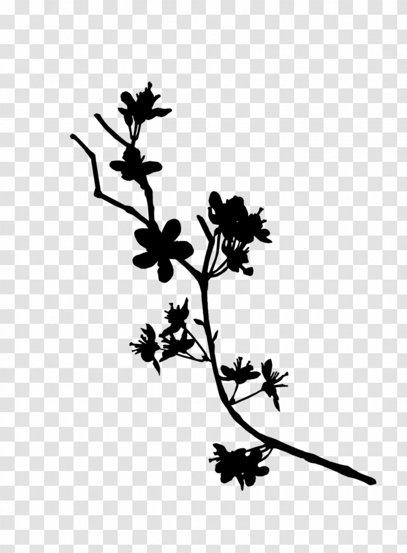 Twig Plant Stem Flower Leaf Line - Pedicel Transparent PNG