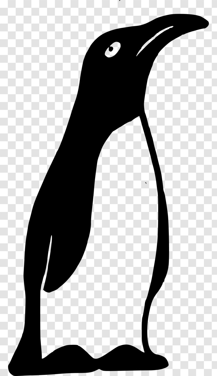 Penguin Clip Art - Monochrome Photography - Couple Transparent PNG